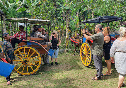 Borobudur and Candirejo Village Andong Tours ( Horse Carriage )