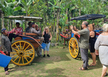 Borobudur and Candirejo Horse Carriage Village Tours