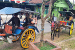 Borobudur and  Horse Carriage Village Tours