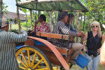 Borobudur Candirejo Horse Carriage Village Tours
