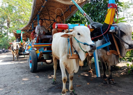 Ox Cart Riding Tour Through Villages in Prambanan Countryside