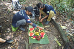 From Medan Bukit Lawang Trekking Full-Day Tour