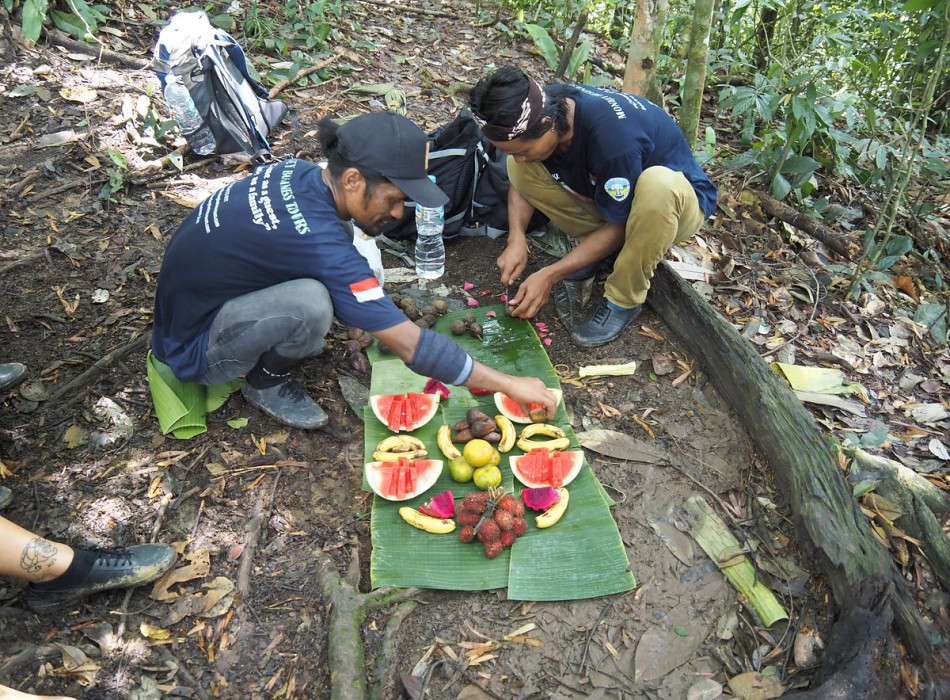 From Medan Bukit Lawang Trekking Full-Day Tour