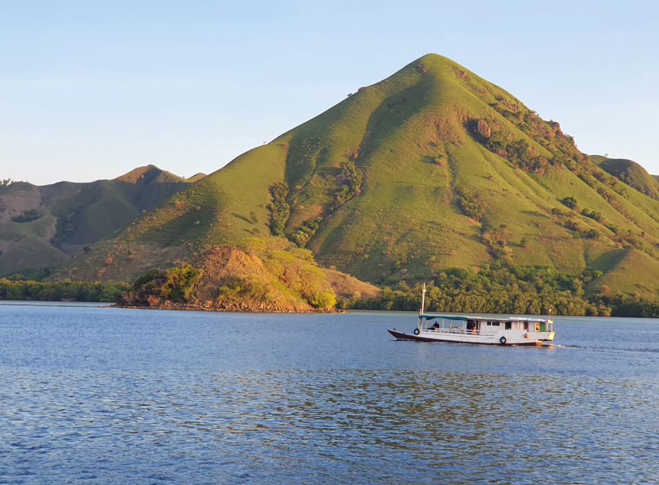 Komodo One Day Tour from Labuan Bajo by Wooden Boat