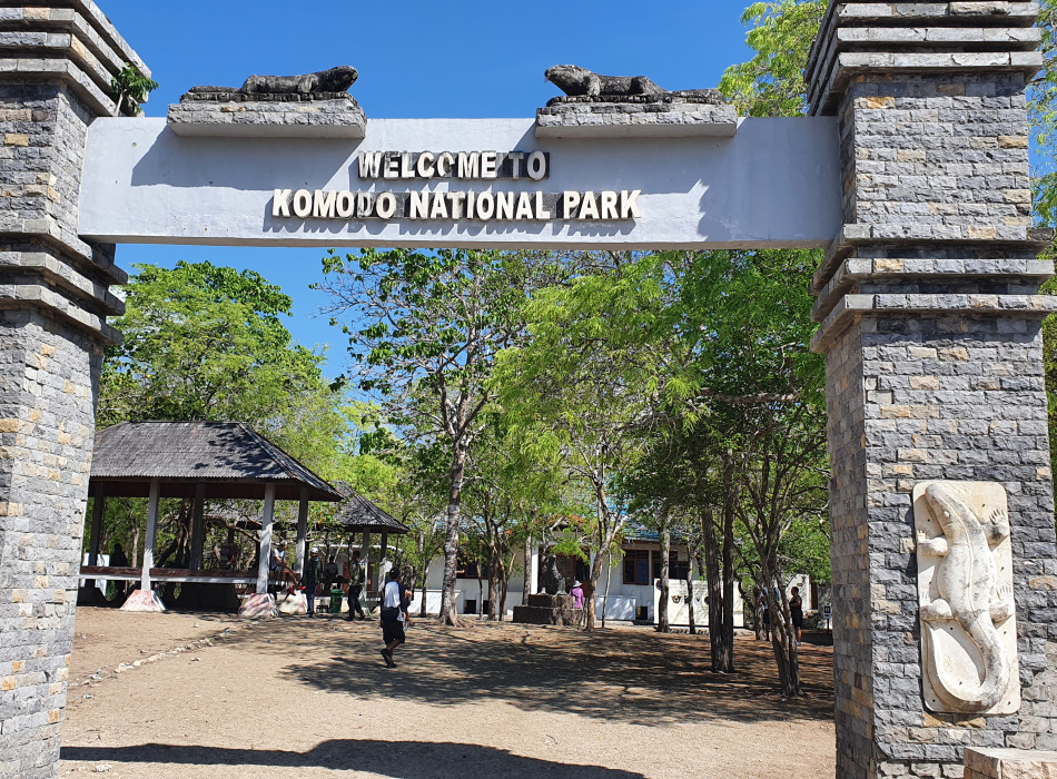 Komodo One Day Tour from Labuan Bajo by Wooden Boat