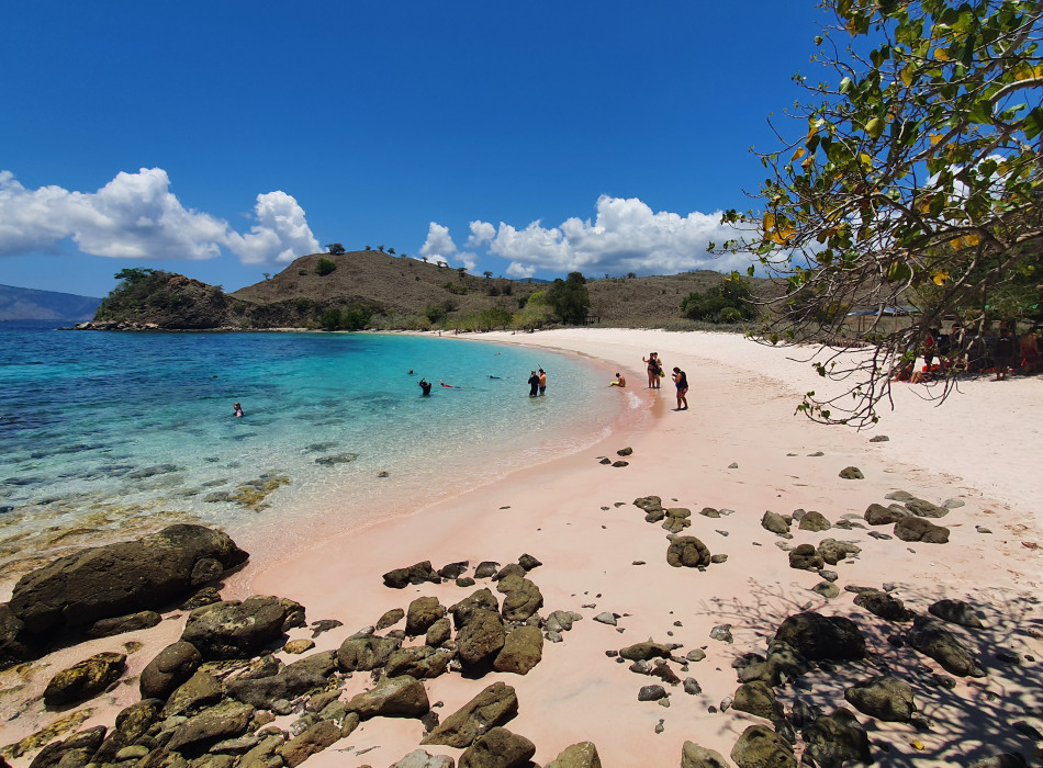 Komodo One Day Tour from Labuan Bajo by Wooden Boat
