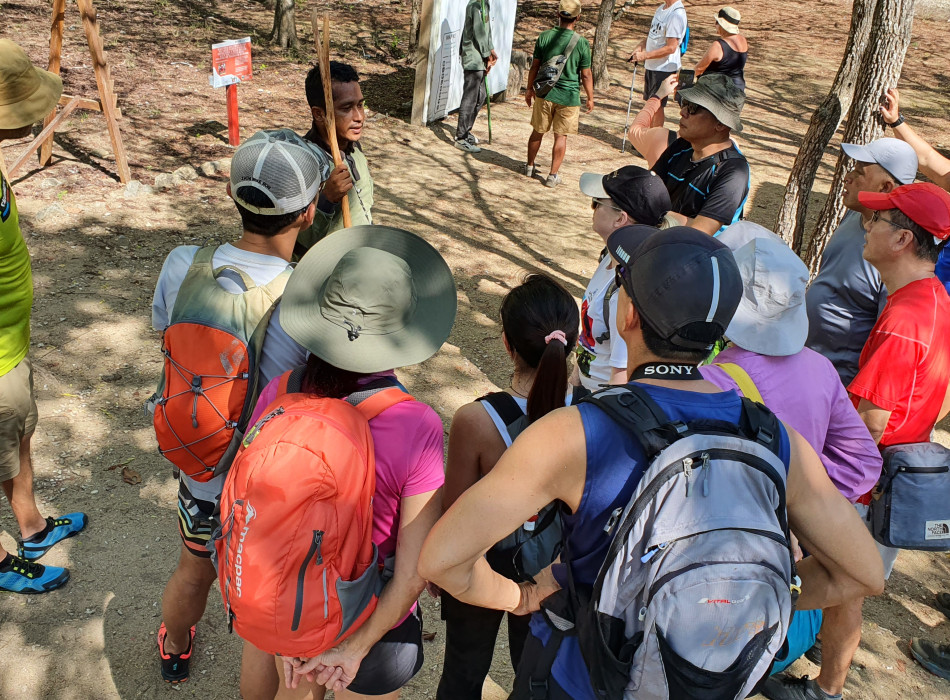 Komodo One Day Tour from Labuan Bajo by Wooden Boat