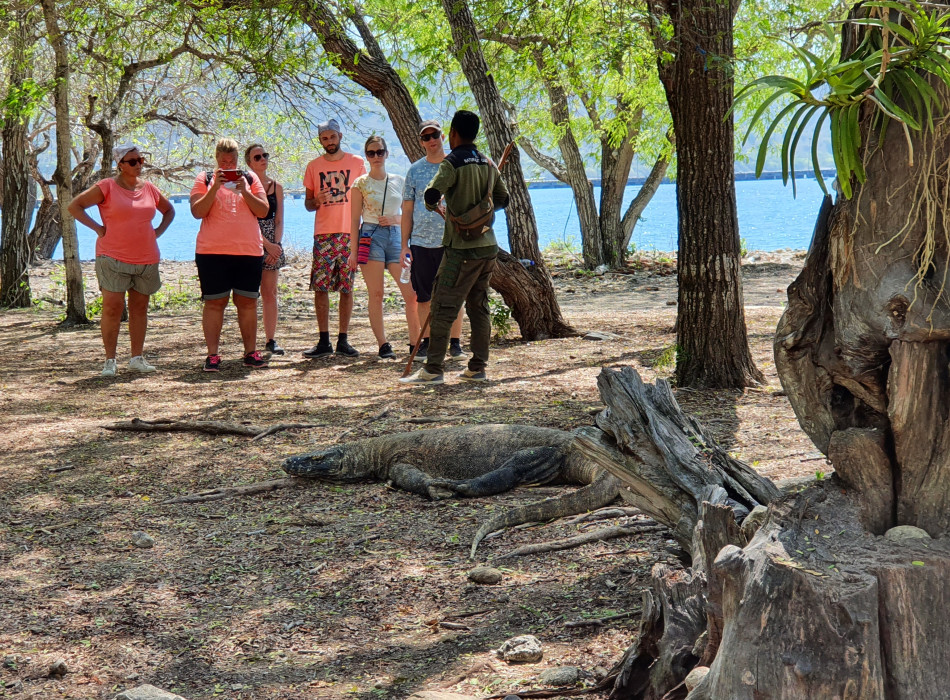 Komodo One Day Tour from Labuan Bajo by Wooden Boat
