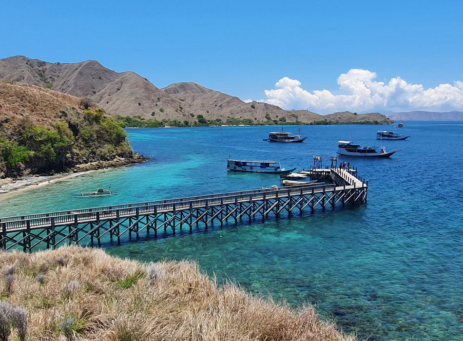 Komodo One Day Tour from Labuan Bajo by Wooden Boat