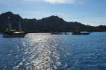 Komodo One Day Tour from Labuan Bajo by Wooden Boat