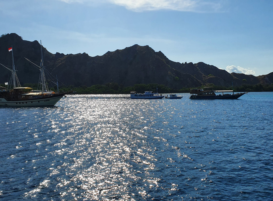 Komodo One Day Tour from Labuan Bajo by Wooden Boat
