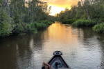 Orangutan Tour in Tanjung Puting National Park 2D1N