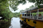 Orangutan Tour in Tanjung Puting National Park 2D1N