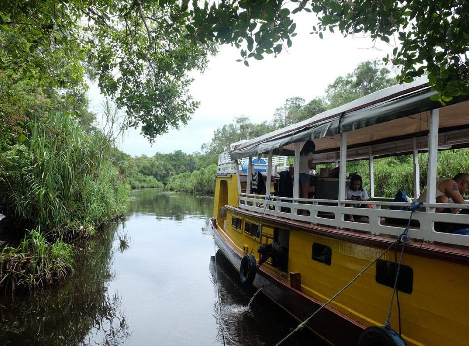 Orangutan Tour in Tanjung Puting National Park 2D1N