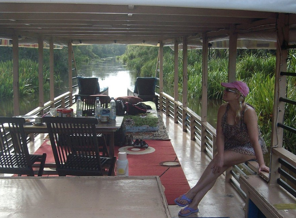 Orangutan Tour in Tanjung Puting National Park 2D1N