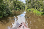 Orangutan Tour in Tanjung Puting National Park 3D2N
