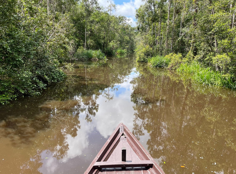 Orangutan Tour in Tanjung Puting National Park 3D2N