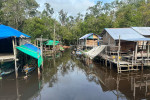 Orangutan Tour in Tanjung Puting National Park 3D2N