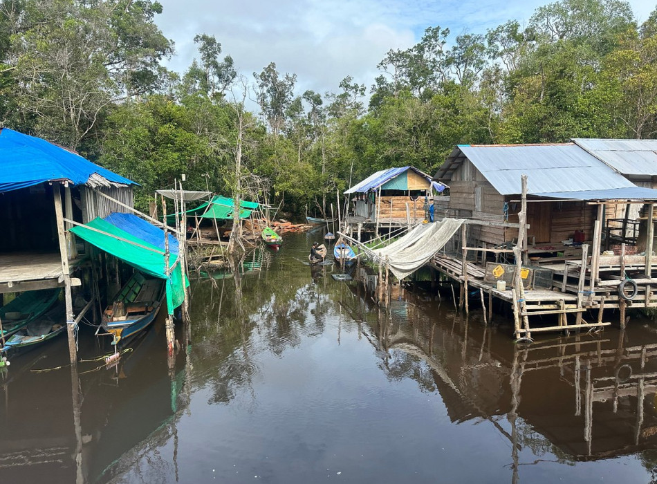 Orangutan Tour in Tanjung Puting National Park 3D2N