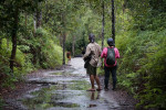 Orangutan Tour in Tanjung Puting National Park 3D2N