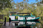 Orangutan Tour in Tanjung Puting National Park 4D3N