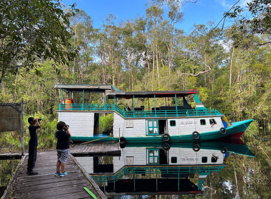 Orangutan Tour in Tanjung Puting National Park 4D3N