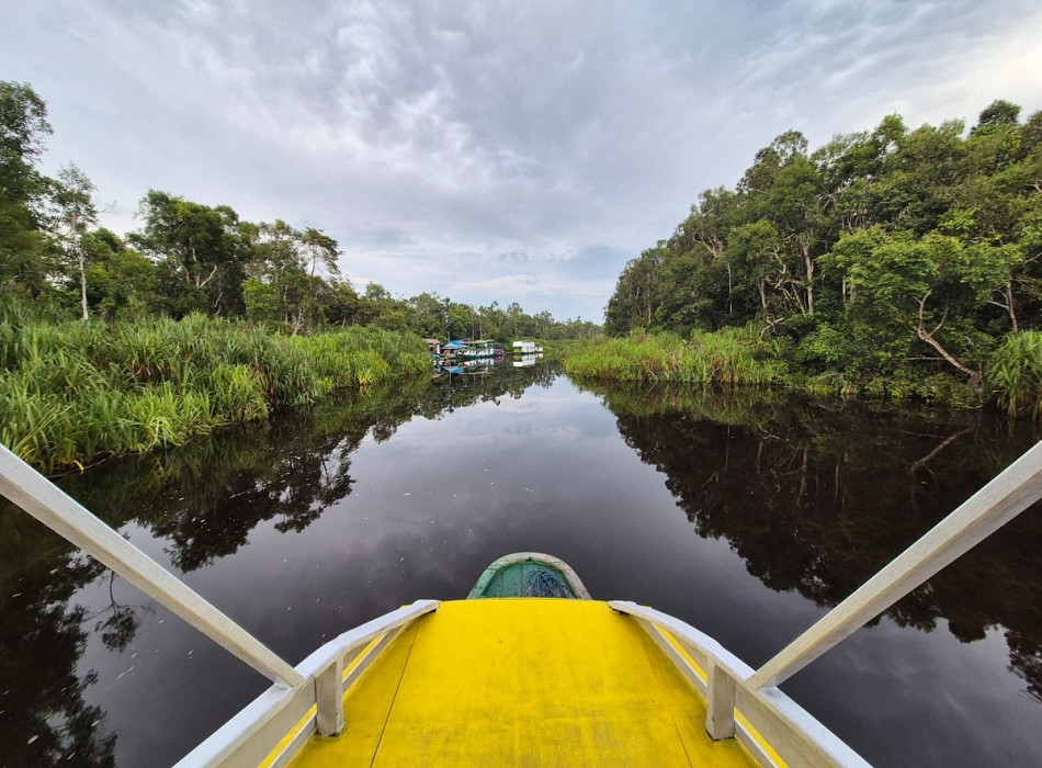 Orangutan Tour in Tanjung Puting National Park 4D3N