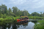 Orangutan Tour in Tanjung Puting National Park & Dayak 5D4N