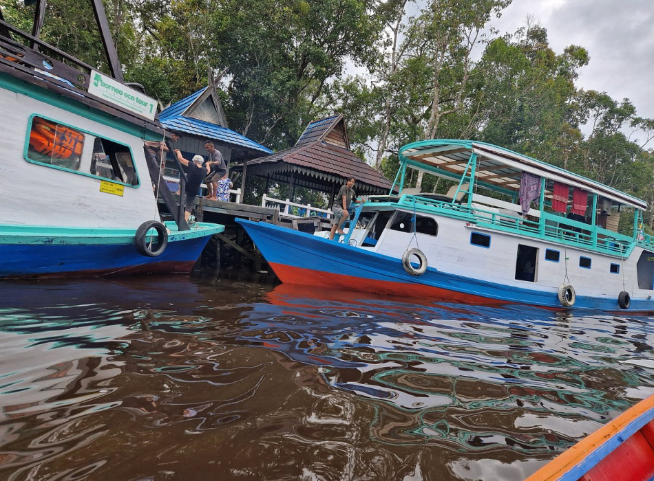 Orangutan Tour in Tanjung Puting National Park & Dayak 5D4N