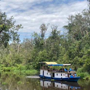 Borneo Tanjung Puting National Park