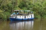 Group Tour ( Sharing Tour ) Orangutan Tanjung Puting National Park 3D2N