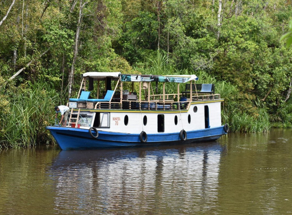 Group Tour ( Sharing Tour ) Orangutan Tanjung Puting National Park 3D2N