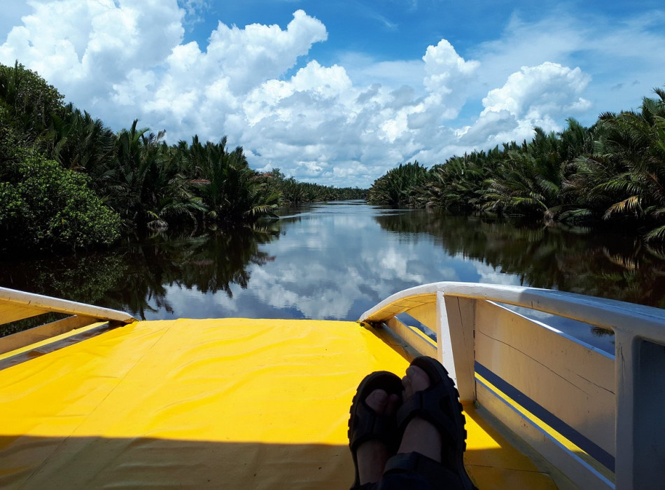 Group Tour ( Sharing Tour ) Orangutan Tanjung Puting National Park 3D2N