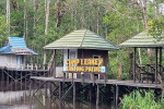 Group Tour ( Sharing Tour ) Orangutan Tanjung Puting National Park 3D2N