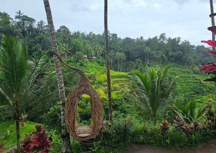 From Benoa Port Bali: Ubud Village Tour
