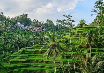 From Benoa Port Bali: Kintamani Full-day Tour