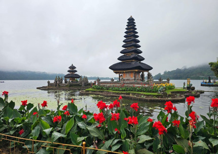 Bali Tours from Benoa Port Bali and Lombok