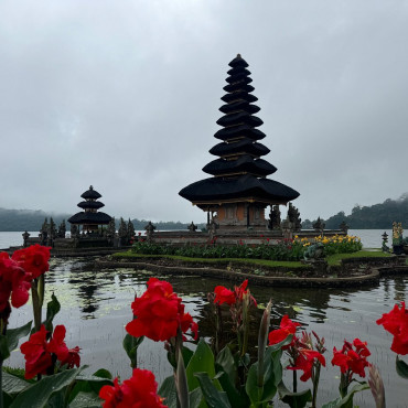 Bali Tours from Benoa Port Bali and Lombok