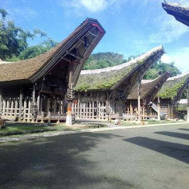 Tana Toraja Tour Packages