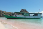 Komodo One Day Tour from Labuan Bajo by Wooden Boat