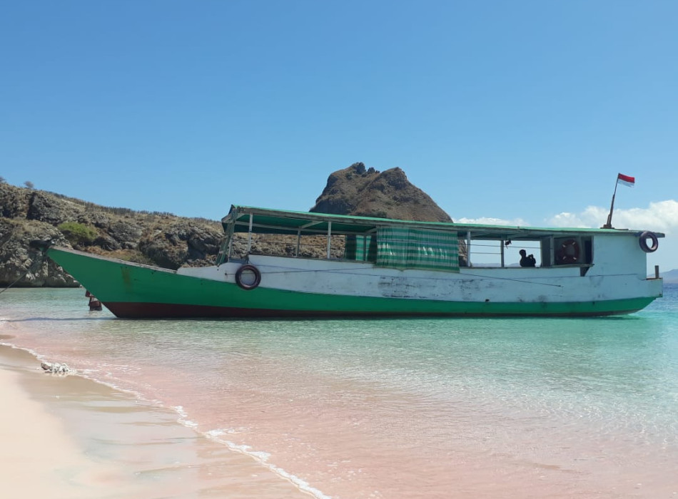 Komodo One Day Tour from Labuan Bajo by Wooden Boat