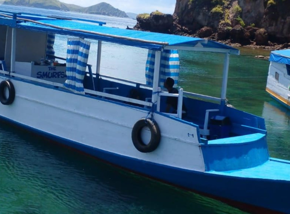 Komodo One Day Tour from Labuan Bajo by Wooden Boat