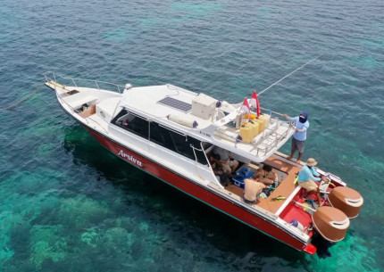 One Day Trip Komodo from Labuan Bajo by Speed Boat