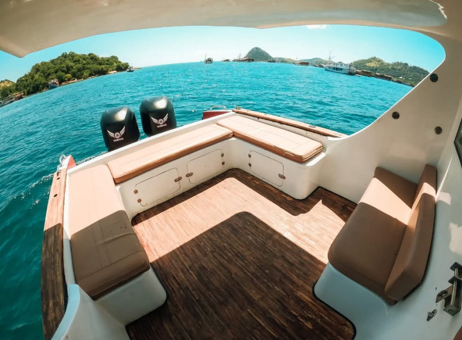 One Day Trip Komodo from Labuan Bajo by Speed Boat
