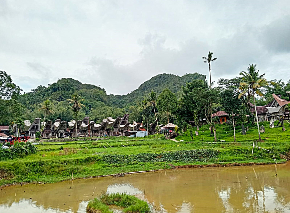 Tana Toraja Tour Package 4D3N