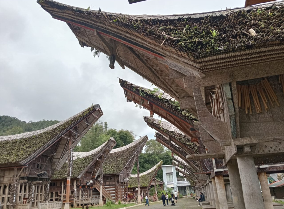 Tana Toraja Tour Package 4D3N