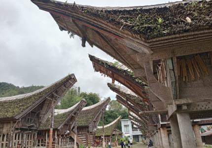 Tana Toraja Tour Package 4D3N