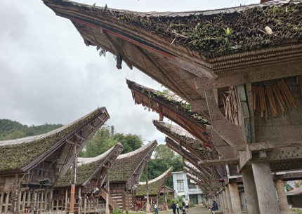 Tana Toraja Tour Package 4D3N