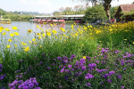 4D3N Jakarta Bandung Tour Package