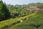 4D3N Jakarta Bandung Tour Package